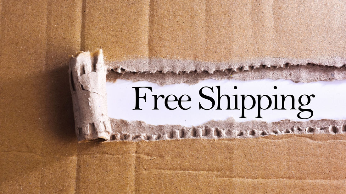 Understanding Our Free Shipping Policy --- DIODIY
