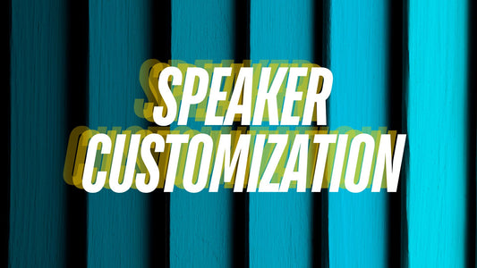 The Rise of Speaker Customization: A New Trend in the Audio Industry --- DIODIY SPEAKER MANUFACTURER