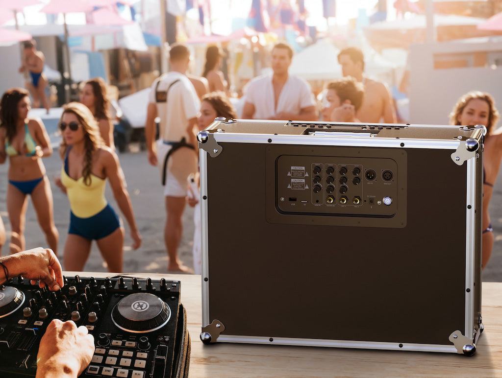 diodiy dj box professional music box speaker large woofer and two tweeters inside black with sliver edge powerful and adjustable sound advanced sound system customizable at the beach party