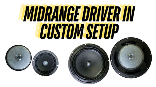 Do I Need a Midrange Driver in My Custom Speaker Setup? --- DIODIY